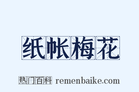 纸帐梅花是什么意思的图片